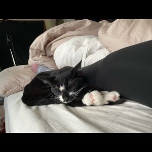 Meet your Posher, Haley